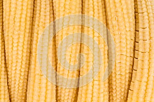 Pickled small corn. Close up.