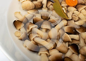 Pickled Straw Mushrooms Isolated