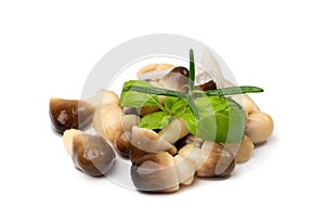 Pickled Straw Mushrooms Isolated