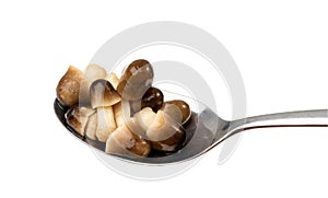 Pickled Straw Mushrooms Isolated