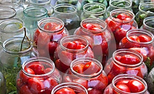 Pickling canning tomatoes and cucumbers