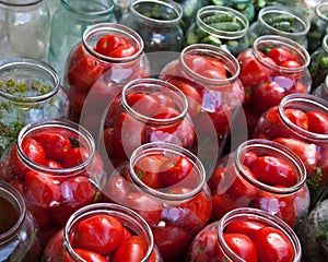 Pickling canning tomatoes and cucumbers