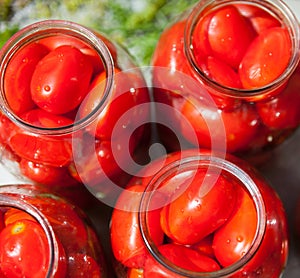 Pickling canning the tomatoes
