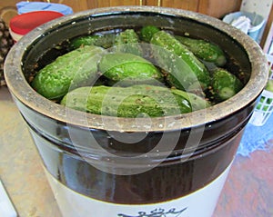 Large Crock of Pickles in the Making