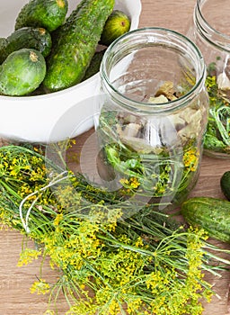 Pickling cucumbers - jar, dill