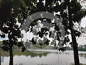 Picknick in the lake side