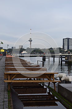 Picknicktables at Kop van Zuid, Rotterdam with Euromast in the background