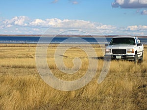 Pickup in the blowing grasses