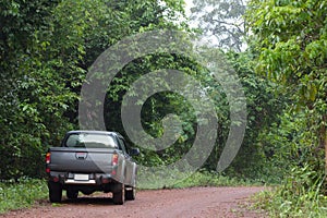 Pickup car in the forest, exploration asian forest