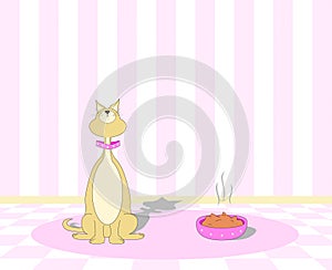 Picky Cat Refusing to Eat