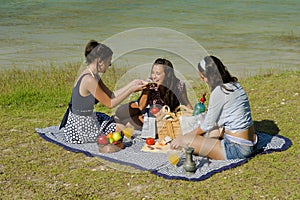 Picnic