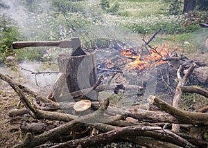 Picnic Area Landscape