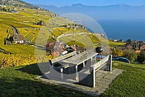 Picnic area in the lavaux vineyards, Lavaux, Vaud, Switzerland