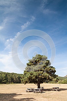 Picnic area in mountains