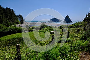 Picnic area near splendid Whaleshead Beach near Brookings, Oregon