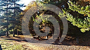 Picnic area in the outside of town