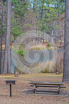 A picnic area at the Ratcliff Lake Recreation Area on Ratcliff Lake, Ratcliff, Texas