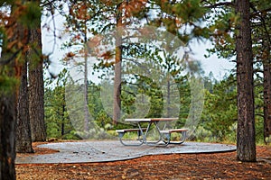 Picnic area with tables and benches in Bryce canyon