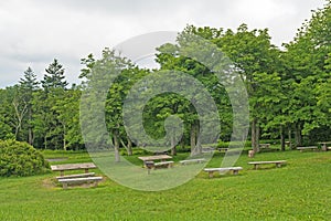 Picnic Area in a Verdant Forest on the Blue Ridge Parkway