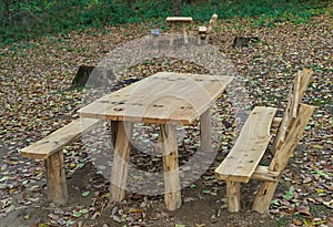 Picnic area with wooden benches and table in the middle of forest