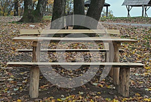 Picnic area with wooden benches and table in the middle of forest