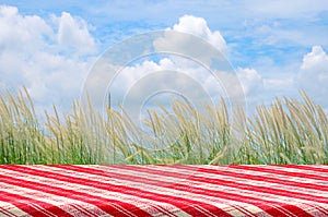 Picnic Background with Picnic Table.