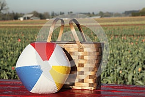 Picnic basket, beach ball in meadow