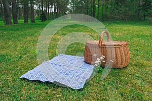 Picnic basket and blue white checkered napkin on lawn in park
