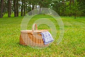 Picnic basket with blue white napkin in park