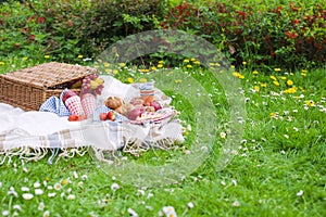 Picnic basket . Eating on green grass and plaid. Spring and vacation. Place for text.