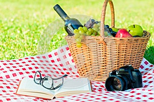 A picnic basket with food and alcohol, a book and a camera on a