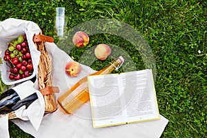 picnic basket, food, drinks and book on grass