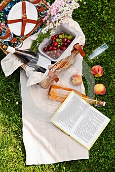 picnic basket, food, drinks and book on grass