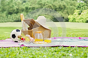 Picnic basket and food at field