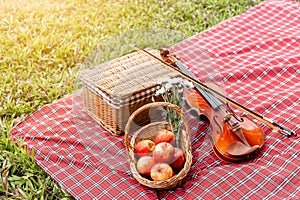 Picnic basket fruit bakery and violin on red cloth in garden.