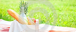 Picnic basket, fruit, milk, apples, pineappe summer, rest, plaid, grass Copy space Banner photo