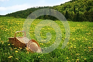 Picnic basket in the grass