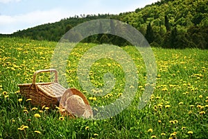 Picnic basket in the grass photo