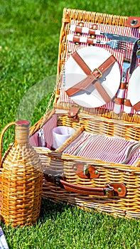 Picnic basket on green sunny lawn in the park