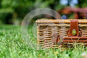 Picnic Basket Hamper In Green Grass