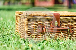 Picnic Basket Hamper In Green Grass