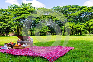 Picnic basket has a lot of food on green grass with blue sky in park