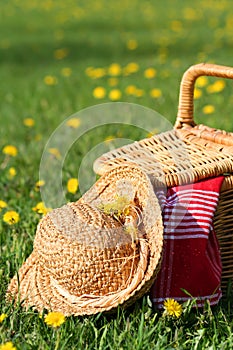 Picnic basket and hat