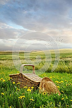 Picnic basket and hat in the tall grass