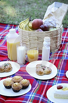 Picnic basket on mat with plates of cupcakes, pastry and glasses of juice and milk. Conceptual image