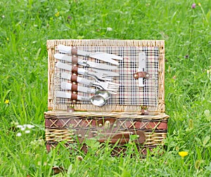 Picnic basket in meadow