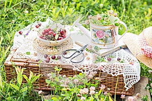 Picnic basket  in meadow with clovers,  lifestyle of summer concept