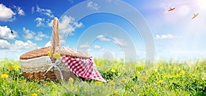 Picnic - Basket On Meadow photo