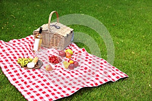 Picnic basket with products and bottle of  on checkered blanket in garden