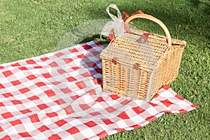 Picnic basket with a red and white tablecloth on the green lawn